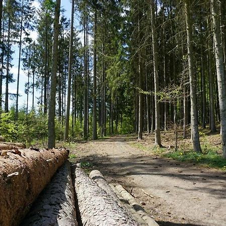 Seepark Kirchheim Ferienhaus Bei Diane Mit Sauna Zewnętrze zdjęcie